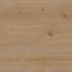 3219 M Ель серебристая