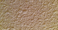 «Короед», «Кора дуба»