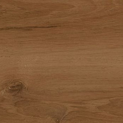 2613 Дуб Шотландский