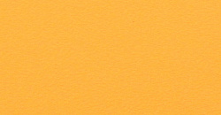 Однотонные (монохромные)